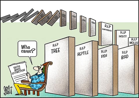Good while it lasted - II: 6th mass extinction an all pervasive loss