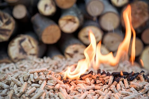 Biomass co-firing: NTPC retrofits 13 power stations. Will other companies be able to follow suit?