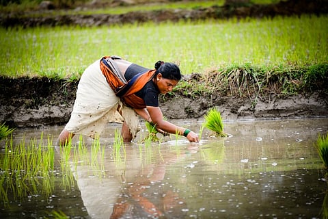 Andhra Pradesh extends support to SC women farmers for natural farming push