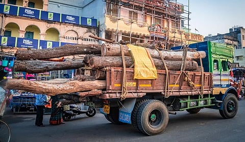 Wood for Jagannath Temple. Credit: Shree Jagannatha Temple, Puri