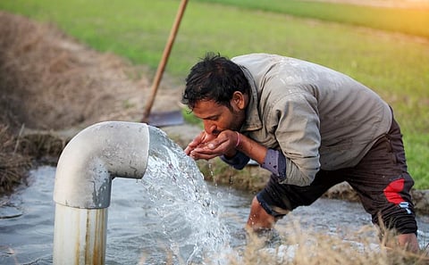 Photo: iStock