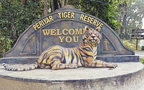 Photo: iStock