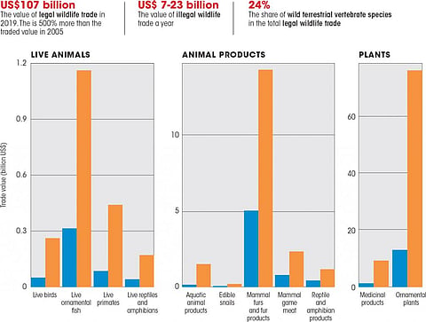 Source: IPBES Workshop on Biodiversity and Pandemics