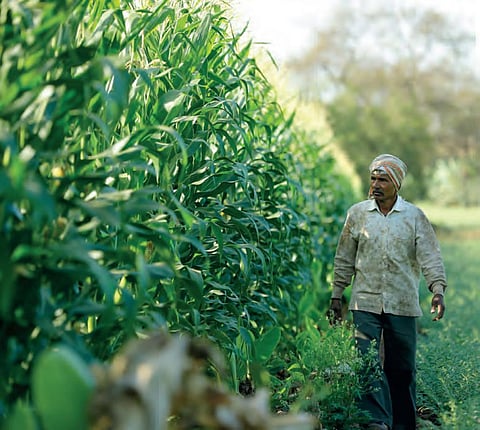 Photo: Istock photo