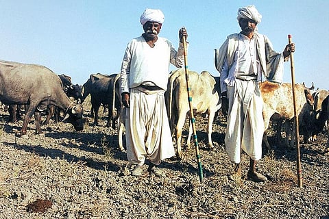 फाइल फोटो: सीएसई