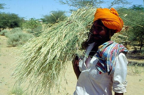 क्या भारतीय किसानों के लिए बेहद डरावना साल साबित होगा 2023