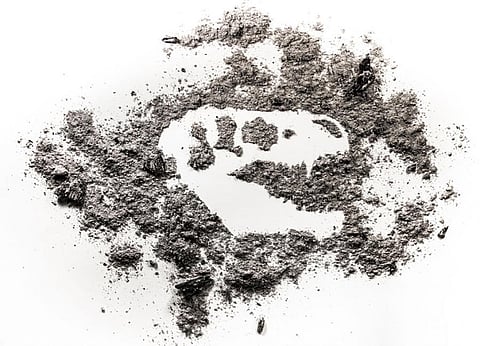 Good while it lasted - I: 6th mass extinction underway, courtesy humans