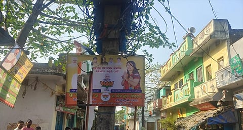 Election posters nailed to trees in Odisha. Photo: Hrusikesh Mohanty