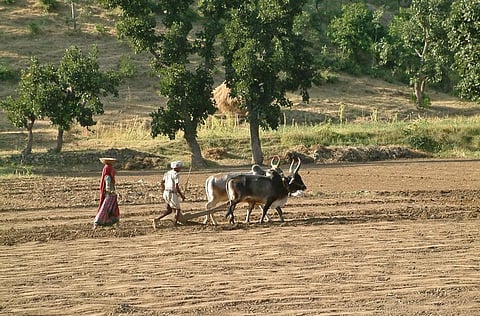 ‘Development will eventually lead to environmental conflicts’