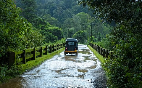 Photo: iStock