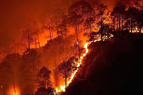 सदी के अंत तक 50 फीसदी और बढ़ जाएगी जंगल में आग लगने की घटनाएं