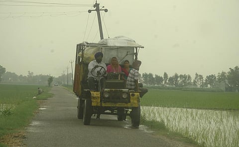 There is growing consensus among agri-scientists, policymakers and farmers that the Green Revolution has reached its limits and raised several issues of environmental sustainability. Photo: Agnimirh Basu / CSE