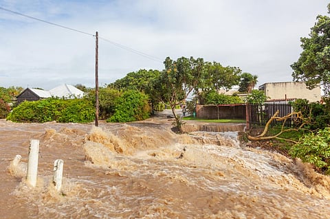 South Africa: Culpable homicide case against President Cyril Ramaphosa, ministers for KwaZulu-Natal floods