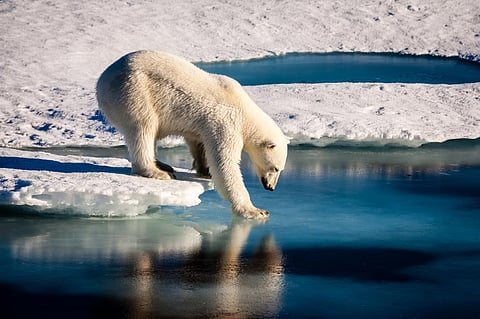 Fulfilling CoP26 promises can limit global warming to 2°C: Study