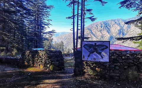 Arun Gaur’s ecotourism centre. Photo: Varsha Singh