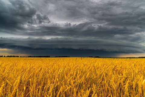 A year of hunger: How the Russia-Ukraine war is worsening climate-linked food shortages
