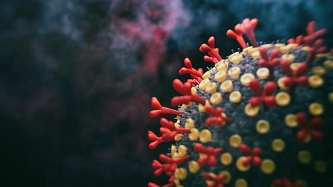 COVID-19: What we know so far about fresh case surge in South Africa