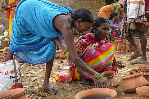 Adivasis in Odisha, Jharkhand less food-insecure than non-Adivasis: Report