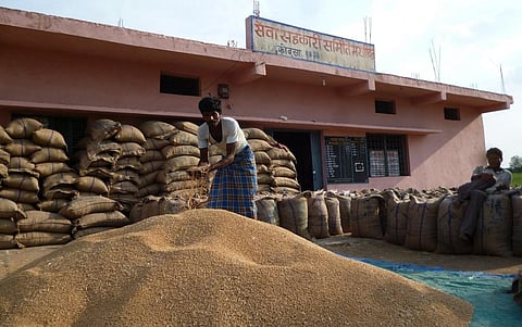 FAO acknowledges Indian wheat exports helped in reducing April inflation