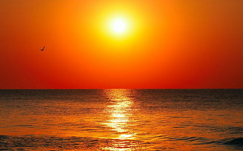 Photo: iStock