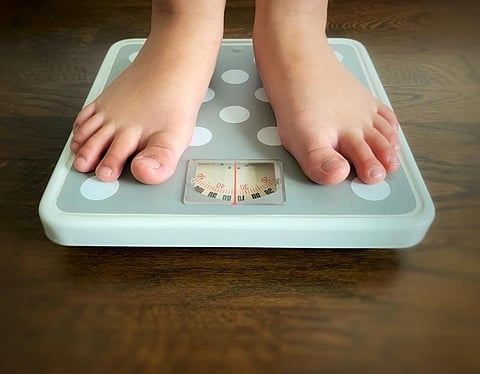 Study blames chemical pollution for obesity pandemic