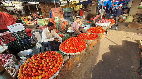 Tomato sales in retail taking place at Azadpur mandi Photo: Arnab Pratim Dutta