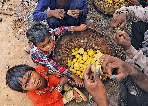 Photograph: Vikas Choudhary