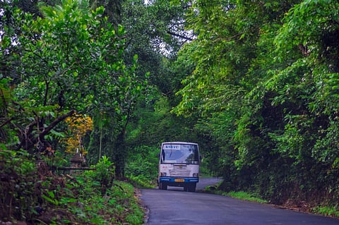 India’s forests, soil can store additional 7 billion tonnes of carbon: Study
