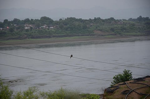 नर्मदा नदी के पानी में कैल्शियम की मात्रा तय मानक से 50 फीसदी से अधिक पाई गई है। फोटो: राकेश मालवीय