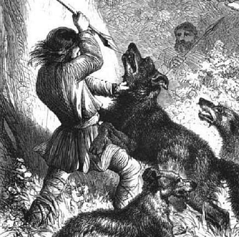 An Anglo-Saxon wolf hunt. Photo: Wikimedia Commons
