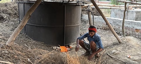 फोटो- बाराबंकी जिले में मेंथा की कटाई, पेराई करते किसान, अरविंद शुक्ला