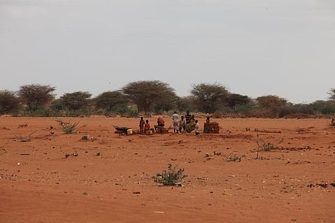 Drought in the Horn of Africa: More than 18.5 million in Ethiopia, Kenya, Somalia and Djibouti face humanitarian crisis