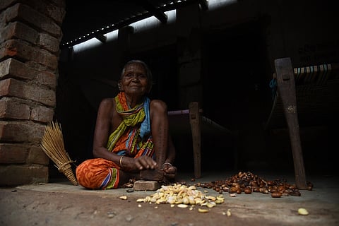 Local woman shelling Mahua seeds in Odisha's Kamtana village. Photo: Arabinda Mahapatra