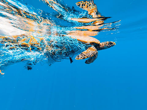 We have international laws to stop plastic pollution from fishing vessels now. Why are we not enforcing them?