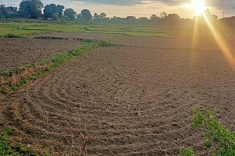 झारखंडः खाली पड़े हैं 17 लाख हेक्टेयर खेत, धान की बुआई तक नहीं
