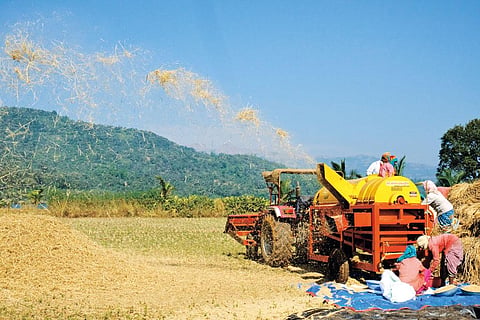 Doubling trouble: It’s mid-2022; is it good days yet for farm incomes?
