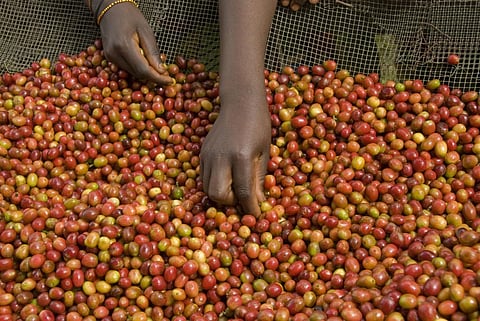 Burundi at 60 is the poorest country on the planet: a look at what went wrong