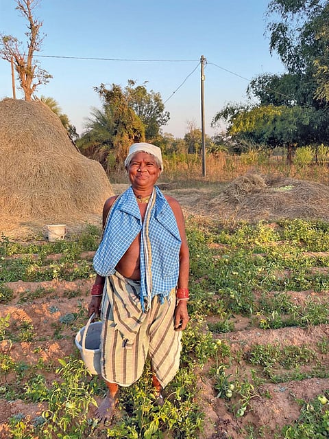 Badari Devi, an organic farmer from Nnagul farmer in Dantewada, says that Bhoomgaadi’s training has helped her improve soil fertility through organic inputs (Photograph: Anamika Yadav)