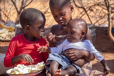 One in every 3 southern African children are stunted: Report