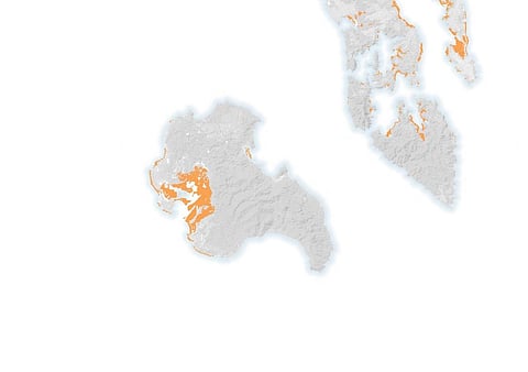 The map of Katchal island shown by NASA’s Earth Observatory. The orange portion shows the area where mangrove cover was lost