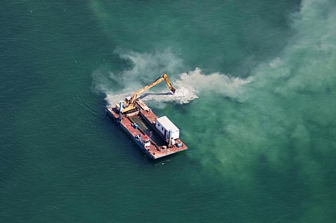 Assess marine biodiversity before permitting deep-sea mining: Experts