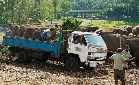 Representative photo from iStock