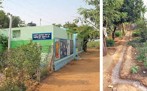 The Integrated Sanitary Complex for Women (IWSC) premises where grey water is utilized to grow vegetables and fruits in Nattathi gram panchayat (Photo: Ravi Kumar, CSE)
