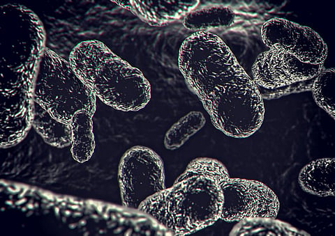 Bacteria can team up with viruses to cause coinfections. Photo: Erlon Silva / TRI Digital / Moment via Getty Images