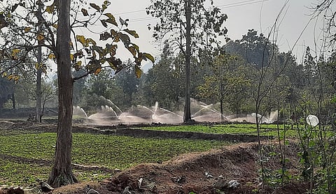Efficient water-use: Odisha’s tribal farmers show the way