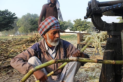 भारत में गन्ने से इथेनॉल उत्पादन को मंजूरी के बाद, वैश्विक बाजार में महंगी हुई चीनी, गेहूं-तेल के भी बड़े दाम