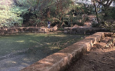 Anang Tal is located in Mehrauli, south Delhi. Photo: Wikimedia Commons