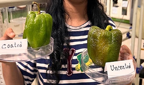 New edible coating to prolong shelf life of fruits and vegetables