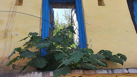 An abandoned house in Pauri's Bharatpur village. Photo: Varsha Singh