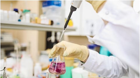 The researchers analysed blood samples from fat-fed mice and human NAFLD patients. Representative Photo: India Science Wire